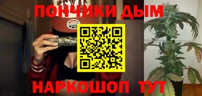 индика Ставрополь