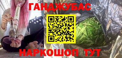 индика Ставрополь