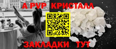 индика Ставрополь