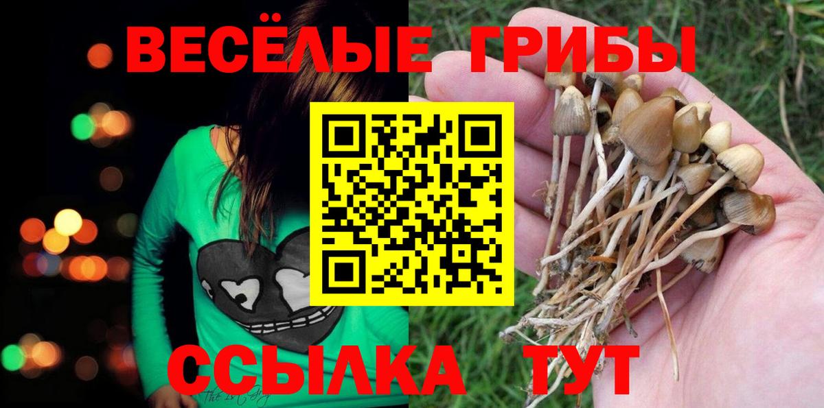 Новокубанск  как найти   Вход с VPN  Псилоцибиновые грибы мухоморы 