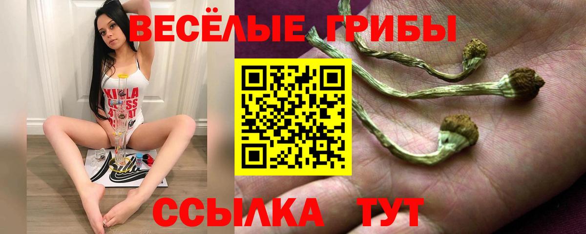 Псилоцибиновые грибы прущие грибы Новокубанск